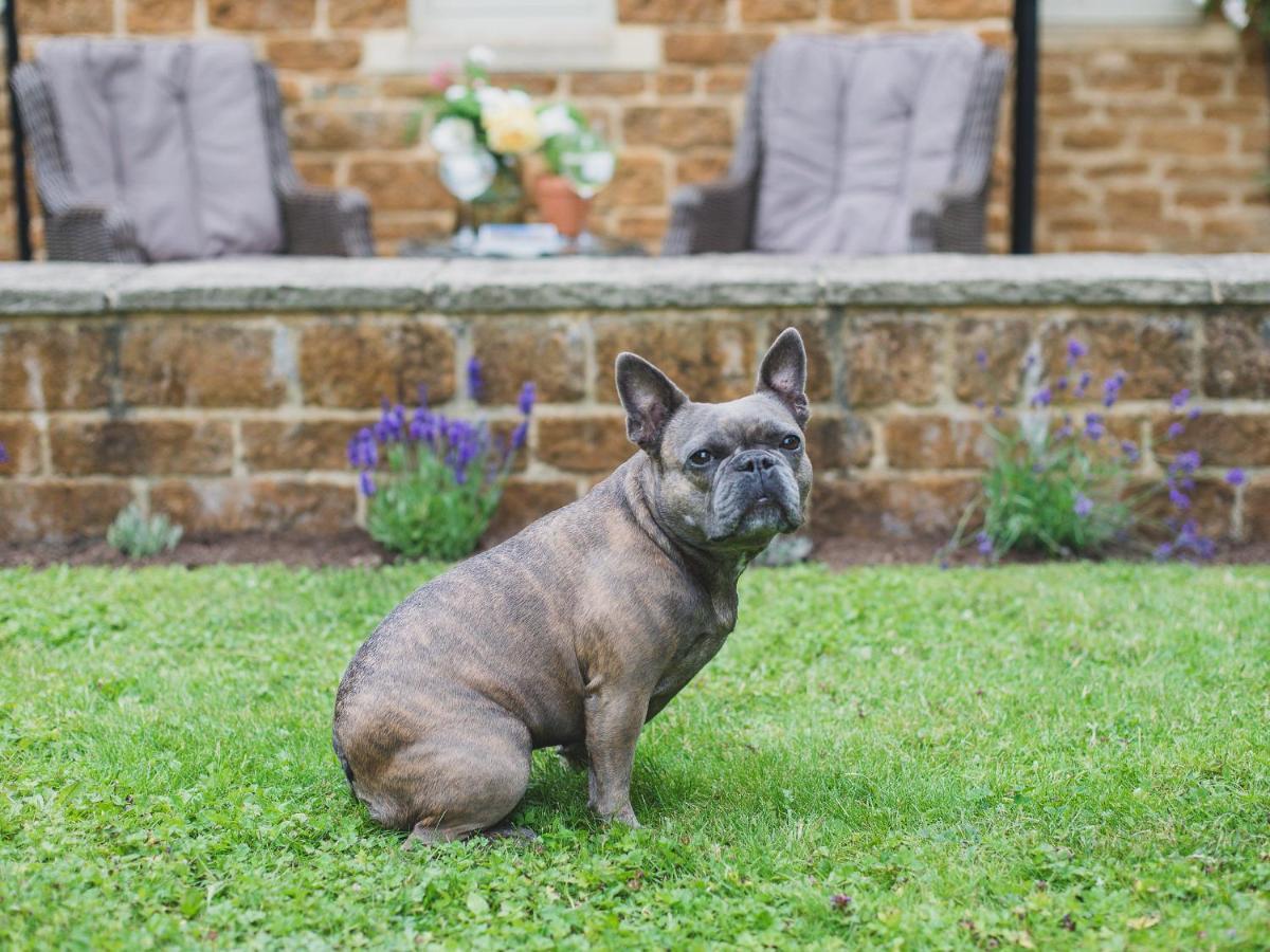 Climbing Rose Cottage - Dog Friendly - Peaceful Cotswold Cottage Adlestrop Eksteriør bilde